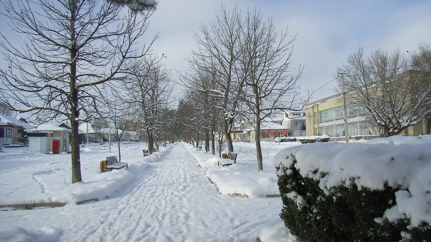 Александровка зимой
